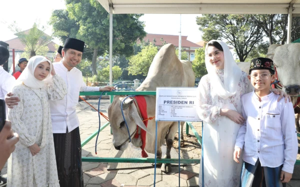 Thumbnail Berita - Salat Iduladha di Masjid Al-Akbar Surabaya, Emil Dardak Swafoto di Depan Sapi Presiden Prabowo