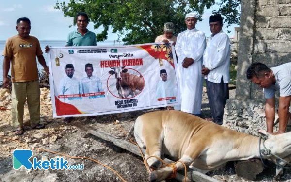 Thumbnail Berita - Idul Adha 2025: Pengurus Masjid dan Pemdes Sambiki Halsel Sembelih 9 Hewan Kurban