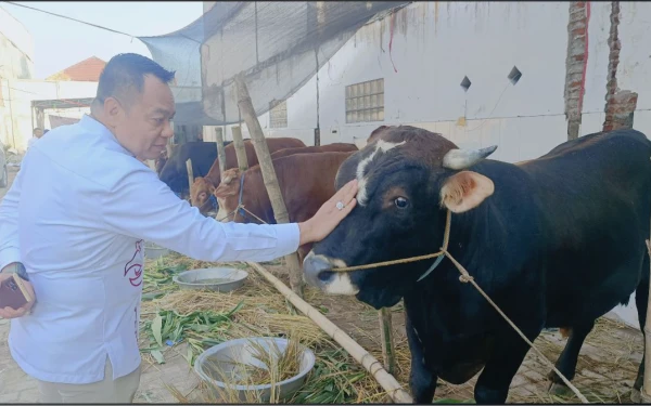 Thumbnail Berita - Berbagi Tanpa Batas, Ketua Komisi A DPRD Surabaya Cak Yebe Kurban 15 Sapi Premium dan 10 Kambing