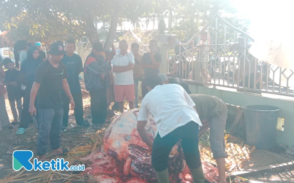 Foto Proses Pemotongan Daging (Helman/Ketik.co.id)
