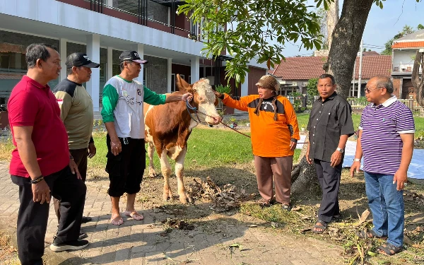 Foto Sebelum disembelih salah satu hewan kurban (sapi) foto bersama Pimpinan dan Andalan Kwarcab Surabaya. (foto Anisa for ketik.co.id)