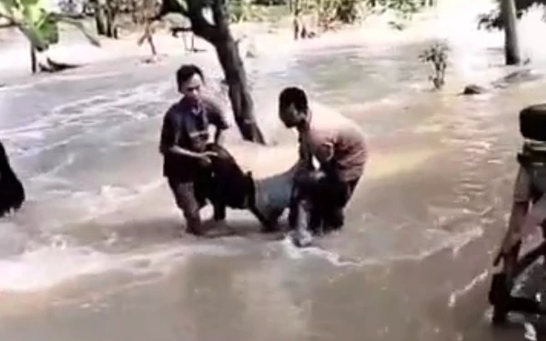 Foto Warga setempat saat menyelamatkan korban terseret banjir luapan kali Lamong. (dok. SC/istimewah)