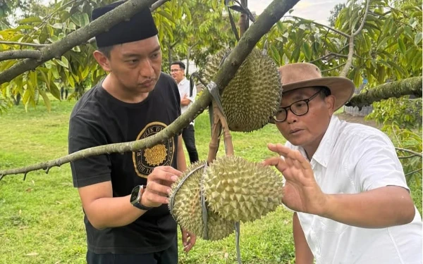 Foto Presiden Republik Durian Farm Anna Luthfie (kanan) di sela meninjau durian yang ditanam di perkebunan miliknya di Kabupaten  Blitar. (Foto: IG  @annaluthfie17)