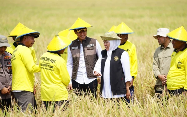 Thumbnail Berita - Gubernur Khofifah: Kedaulatan Pangan Nasional Bukan Mimpi Lagi
