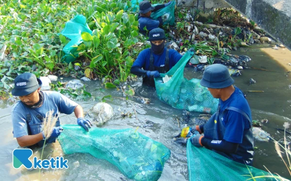 Foto Para pekerja kebersihan dan warga berjibaku membersihkan bermacam-macam sampah di Kali Pelayaran. (Foto: Fathur Roziq/Ketik.co.id)