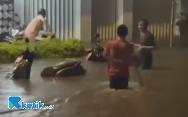 Thumbnail Diguyur Hujan Lebat, Sejumlah Wilayah di Cianjur Alami Banjir hingga Pohon Tumbang