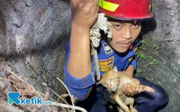 Thumbnail Sederet Insiden Unik Ditangani Damkar Pacitan: Selamatkan Kucing, Tawon hingga Gerinda Cincin