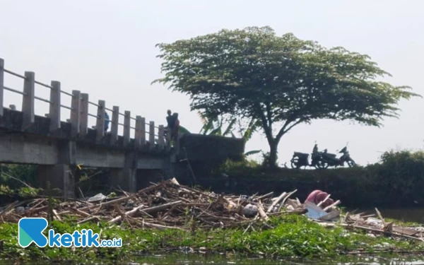 Foto Sampah kasur dan ranting kayu nyangkut di bawah Jembatan Jabontegal, Kecamatan Pungging, Kabupaten Mojokerto. (Foto: Andung Kurniawan/Ketik.co.id)