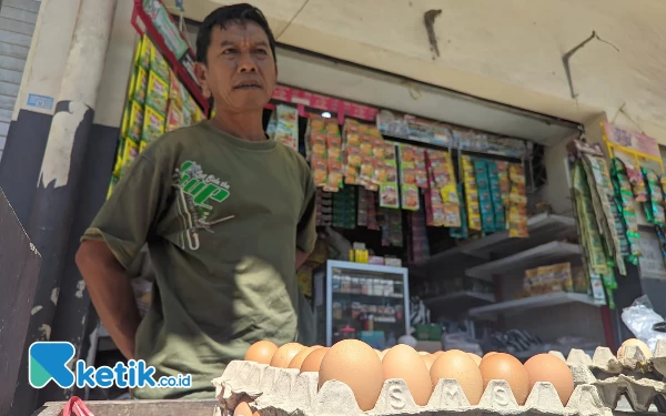 Thumbnail Berita - Harga Telur di Pacitan Melejit, Pedagang Menjerit