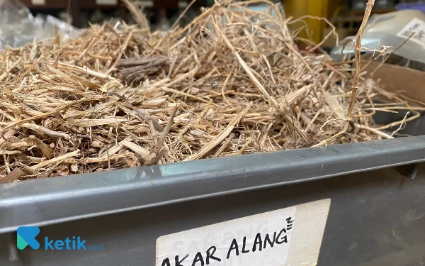 Foto Salah satu bahan ramuan herbal di Toko Jamu Babah Kuya. (Foto: Iwa/Ketik.co.id)