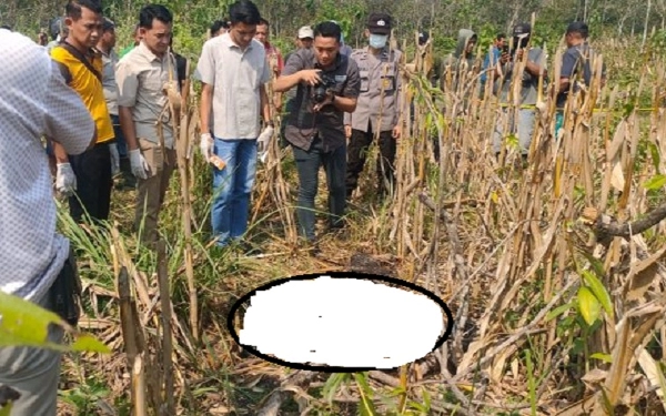 Thumbnail Berita - Mengenaskan, Mayat Perempuan Ditemukan Tinggal Kerangka di Kebun Jagung Ngawi