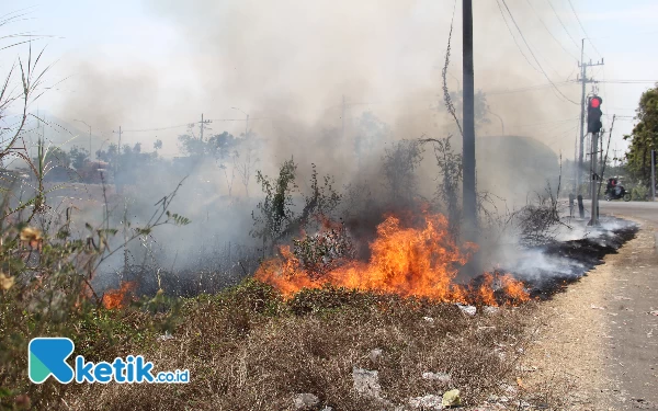 Cuaca Semakin Panas, Ratusan Lahan di Sidoarjo Terbakar