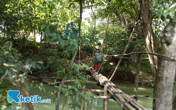 Thumbnail Nenek tua sambil membawa barang sedang melewati jembatan bambu di perbatasan Desa Ganding dan Desa Talaga. (Foto: Ach. Suni/ Ketik.co.id )