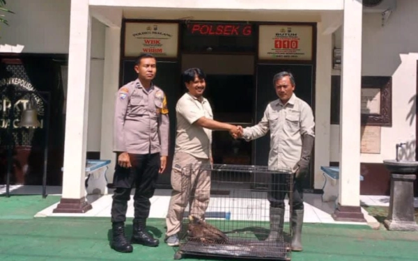 Thumbnail Berita - Ditemukan Terjerat Jaring, Polres Malang Serahkan Elang Ular Bido ke BBKSDA Jatim