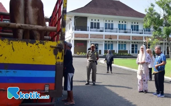 Foto Suasana pentasyarufan hewan kurban menuju 12 kecamatan di Pacitan. (Foto: Prokopim Pacitan for Ketik)