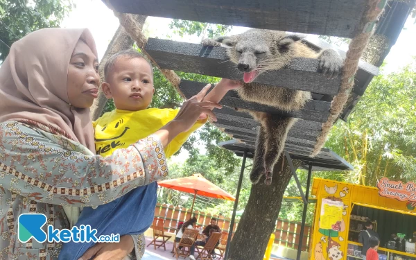 Mushroom House and Playland, Primadona Baru di Kebun Binatang Surabaya