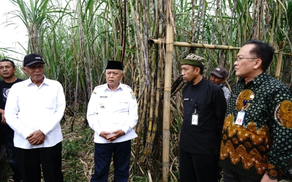 Thumbnail Berita - Kembangkan Varietas Tebu Cening, Bupati Malang Kolaborasi dengan Banyuwangi