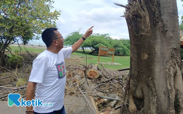 Thumbnail Edi Susanto terkait Pemotongan Pohon Sengon di Wisata Beach Forest Situbondo: Jangan Diartikan Merusak Lingkungan