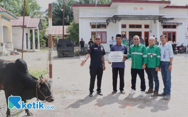 Thumbnail Berita - Jelang Idul Adha, PT BEL Salurkan Puluhan Hewan Kurban untuk Warga Nagan Raya Aceh