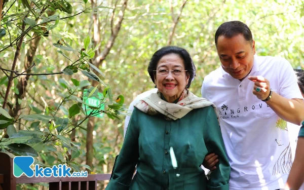 Thumbnail Berita - Eri Cahyadi: Pembangunan Kebun Raya Mangrove Surabaya Arahan Megawati dan Risma