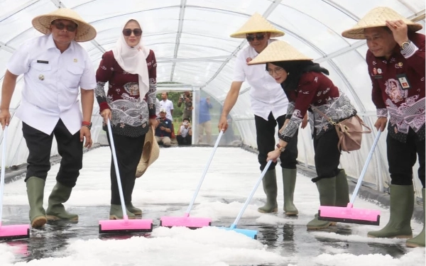 Thumbnail Panen Garam Tunnel di Gedangan, Plt Bupati Malang Resmikan Paduka Ganessa