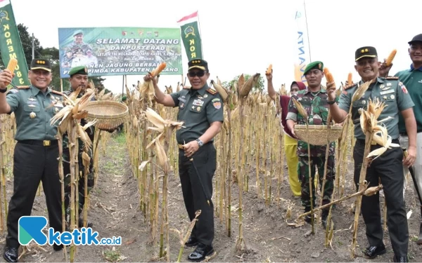 Thumbnail Dukung Ketahanan Pangan, Danpusterad Panen Jagung di Kepanjen Malang