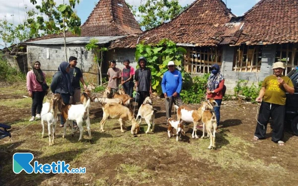 Thumbnail Cerita Warga Pacitan Termakan Isu Gempa, Ternak Pun Ikut Mengungsi