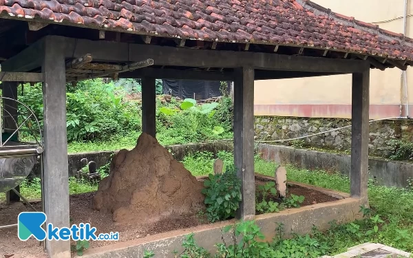 Foto Lokasi makam kedua tokoh yang berdampingan. Pundung tampak terus meninggi, seperti tanah hidup bertumbuh pesat, salah satu maisan sudah tak kelihatan. (Foto: Al Ahmadi/Ketik co.id)