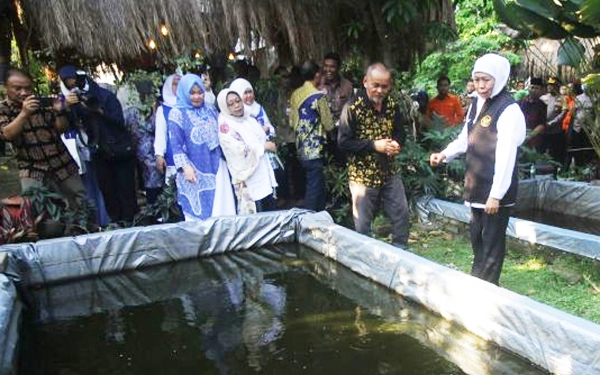 Foto Gubernur Khofifah meninjau kolam ikan di Kampung Mandiri  di  RW 5 Wisma Kedung Asem, Rungkut. (Foto: Josef Abrijanto/Ketik.co.id)