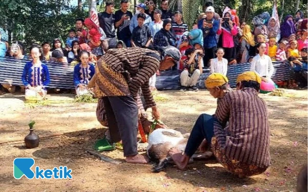 Foto Kepala kambing dipendam oleh tokoh setempat dalam tradisi Baritan di Lapangan Dusun Wati, Gawang Pacitan. 30 Juli 2023. (Foto: Al Ahmadi/Ketik)